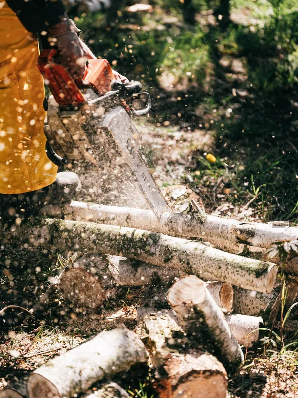 Arborist in high-visibility uniform operating a chainsaw to cut logs in a forest clearing
