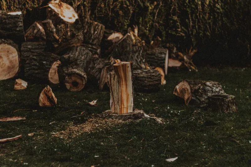 Stack of chopped timber logs in a grassy outdoor setting — wood waste from tree removal