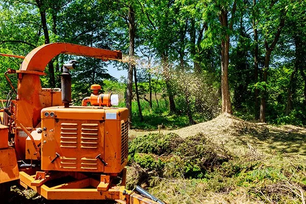 Stump Grinding & Removal